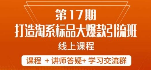 南掌柜-第17期打造淘系标品大爆款，5天线上课-翻身站