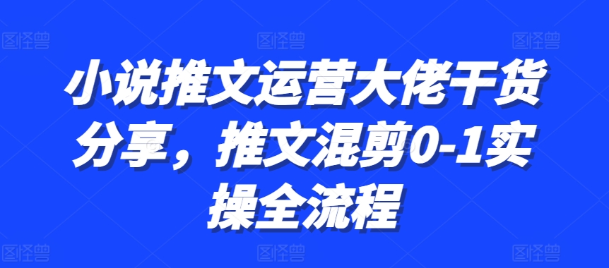小说推文运营大佬干货分享，推文混剪0-1实操全流程-翻身站