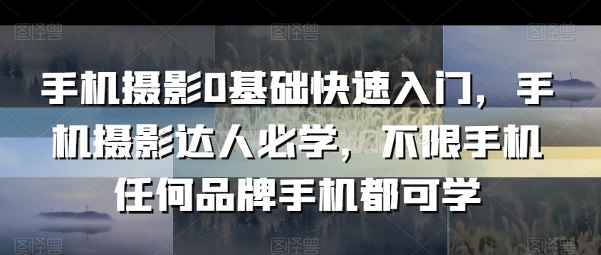 手机摄影0基础快速入门，手机摄影达人必学，不限手机任何品牌手机都可学-翻身站