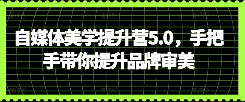 自媒体美学提升营5.0，手把手带你提升品牌审美-翻身站