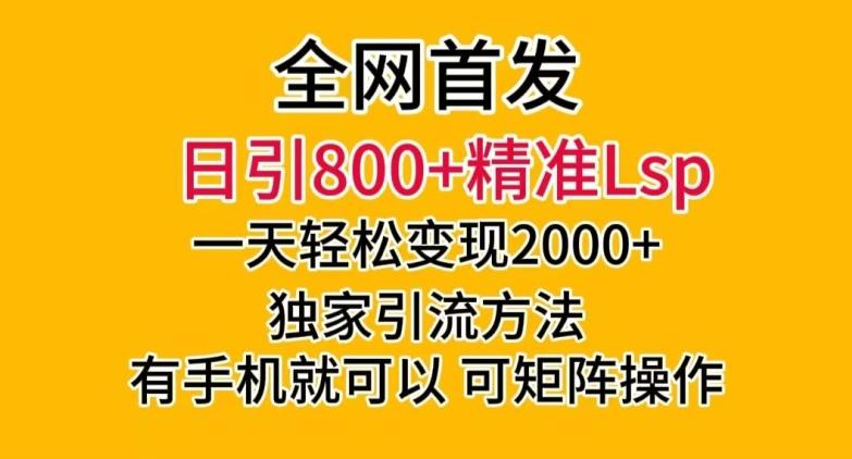 全网首发！日引800+精准老色批，一天变现2000+，独家引流方法，可矩阵操作【揭秘】-翻身站