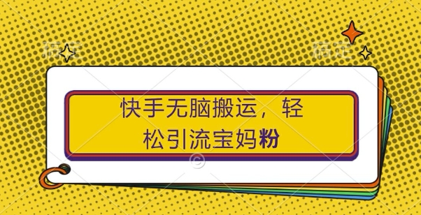 快手无脑搬运，轻松引流宝妈粉，纯小白轻松上手【揭秘】-翻身站