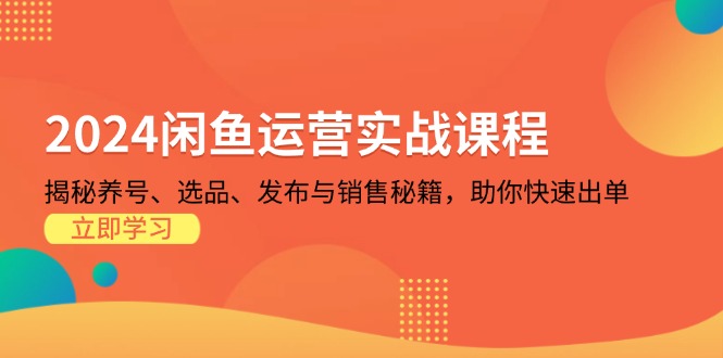2024闲鱼运营实战课程：揭秘养号、选品、发布与销售秘籍，助你快速出单-翻身站