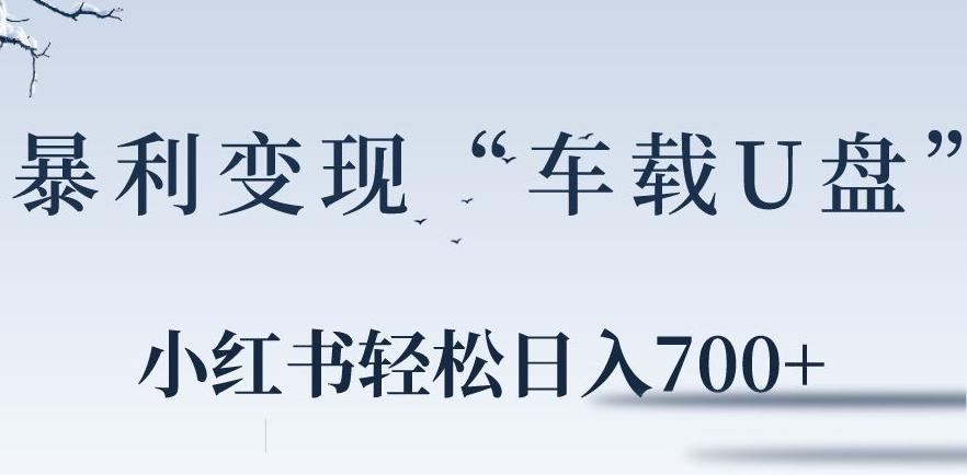 小红书“车载U盘”暴利引流，日入700+-翻身站