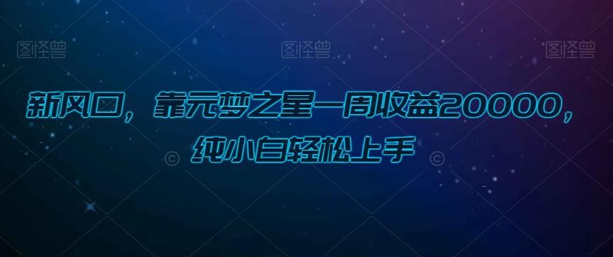 新风口，靠元梦之星一周收益20000，纯小白轻松上手-翻身站
