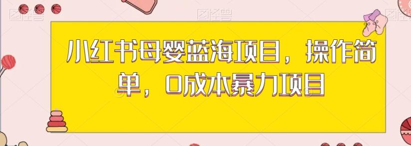 小红书母婴蓝海项目，操作简单，0成本暴力项目-翻身站