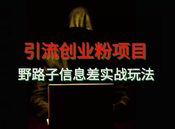 【引流创业粉】野路子信息差玩法实战教学-翻身站
