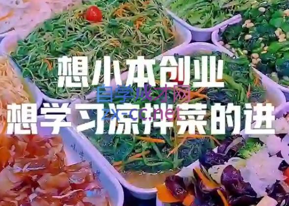 李记·精品凉拌菜系列热卤系列教程-翻身站