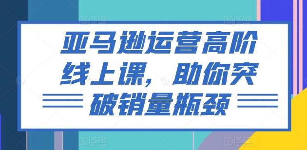亚马逊运营高阶线上课，助你突破销量瓶颈-翻身站
