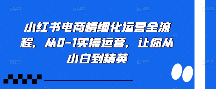 小红书电商精细化运营全流程，从0-1实操运营，让你从小白到精英-翻身站