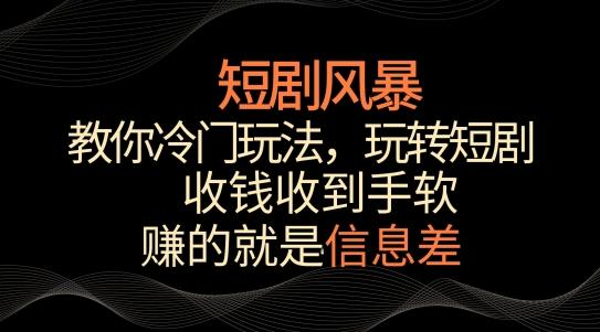 短剧风暴，教你冷门玩法，玩转短剧，收钱收到手软【揭秘】-翻身站
