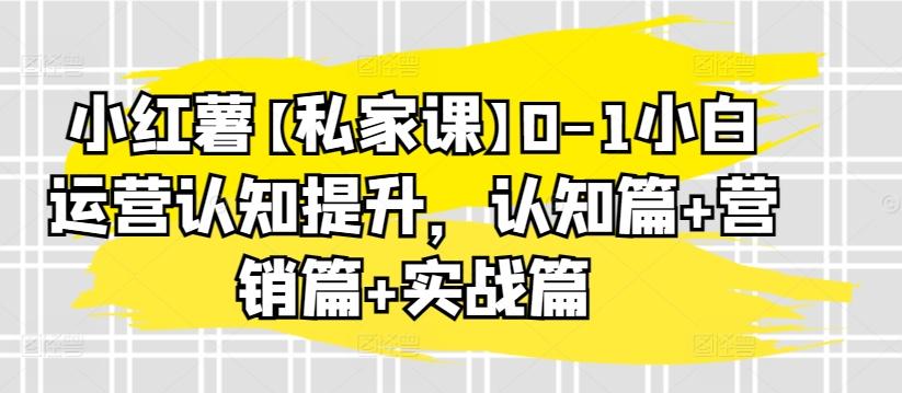 小红薯【私家课】0-1小白运营认知提升，认知篇+营销篇+实战篇-翻身站