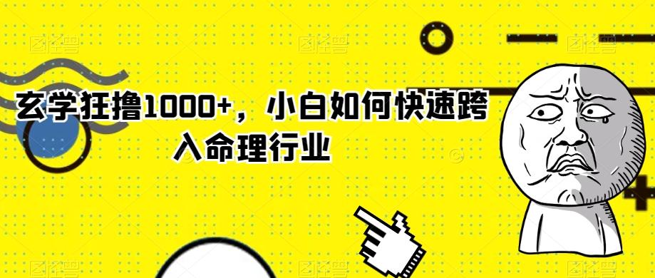 玄学狂撸1000+，小白如何快速跨入命理行业-翻身站