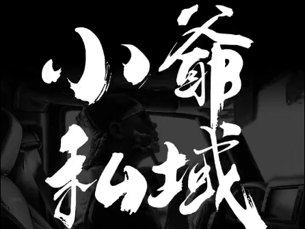 小爷·私域项目操盘手-翻身站