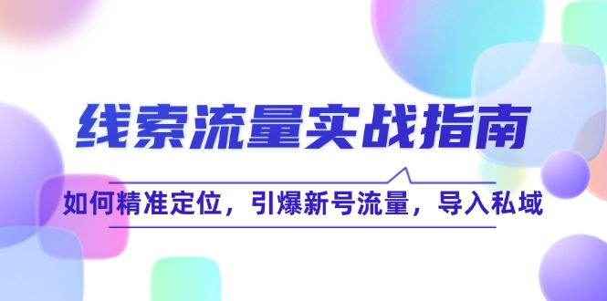 线 索 流 量-实战指南：如何精准定位，引爆新号流量，导入私域-翻身站
