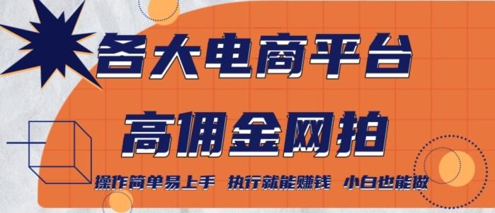 各大电商平台高佣金网拍，操作简单易上手，执行就能赚钱，小白也能做-翻身站
