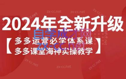 海神老师·拼多多运营必学体系课-翻身站