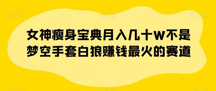 女神瘦身宝典月入几十W不是梦空手套白狼赚钱最火的赛道【揭秘】-翻身站