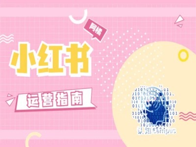 小红书运营指南，没有套路，全是经验-翻身站