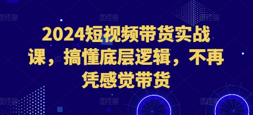 2024短视频带货实战课，搞懂底层逻辑，不再凭感觉带货-翻身站