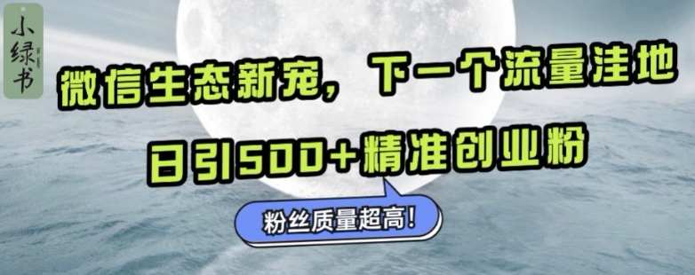 微信生态新宠小绿书：下一个流量洼地，日引500+精准创业粉，粉丝质量超高-翻身站