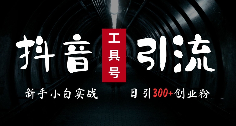 2024最新抖音工具号引流玩法，高效日引300+创业粉，当天变现5k，小白也可成为实战高手-翻身站