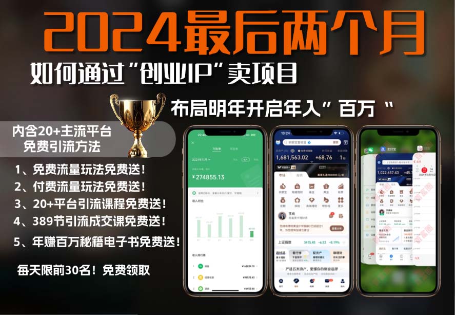 2024最后两个月如何通过”创业IP“卖项目年入”百万“,创业IP+最强引流…-翻身站