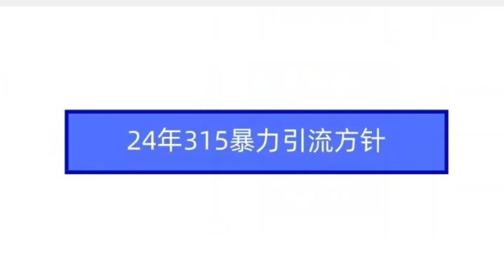 24年315暴力引流方针-翻身站