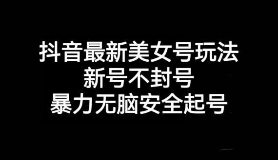 抖音最新美女号玩法，新号不封号，暴力无脑安全起号【揭秘】-翻身站