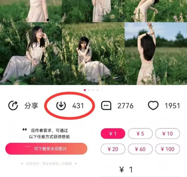 最新图虫搬运项目，收益无上限，利用AI小白也可日赚500+-翻身站