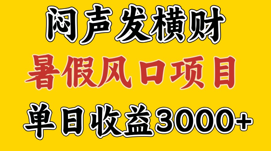 30天赚了7.5W 暑假风口项目，比较好学，2天左右上手-翻身站