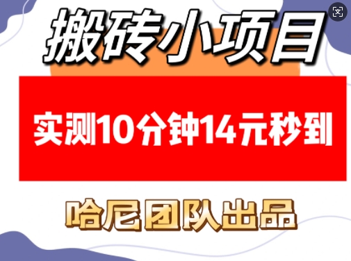 搬砖小项目，实测10分钟14元秒到，每天稳定几张(赠送必看稳定)-翻身站