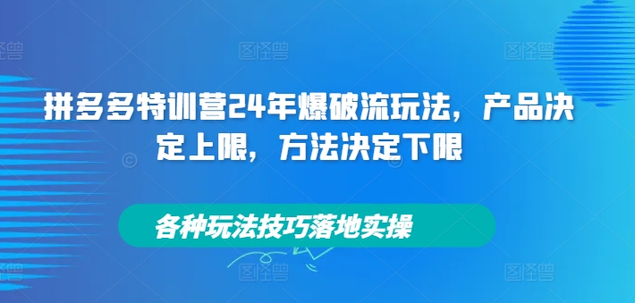 拼多多特训营24年爆破流玩法，产品决定上限，方法决定下限，各种玩法技巧落地实操-翻身站