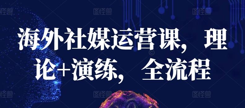 海外社媒运营课，理论+演练，全流程-翻身站