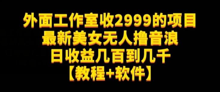 外面工作室收2999的项目最新美女无人撸音浪日收益几百到几千【教程+软件】（仅揭秘）-翻身站