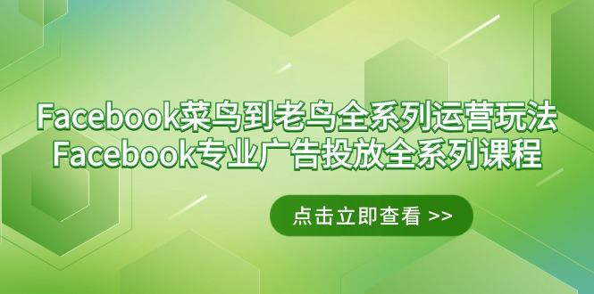Facebook-菜鸟到老鸟全系列运营玩法+Facebook-专业广告投放全系列课程-翻身站