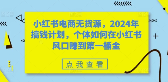 小红书电商无货源，2024年搞钱计划，个体如何在小红书风口赚到第一桶金-翻身站