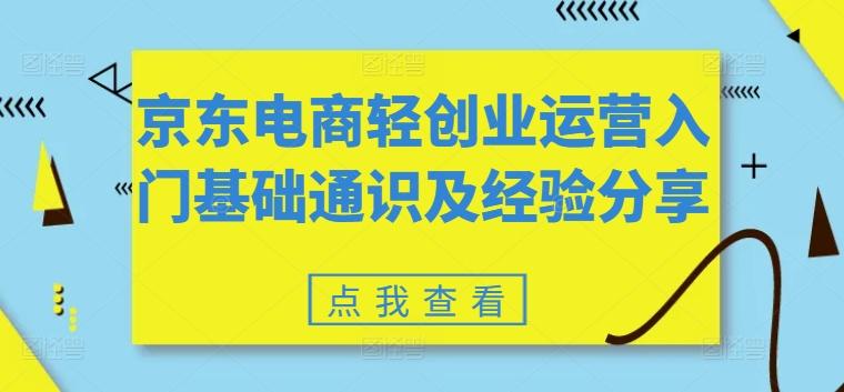 京东电商轻创业运营入门基础通识及经验分享-翻身站