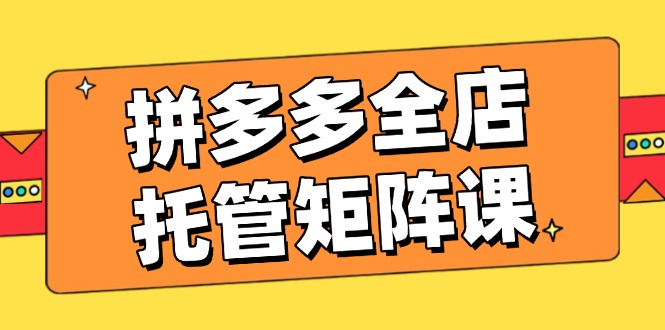 拼多多全店托管矩阵课，盈利动销玩法，高效计划设置，提升店铺效益-翻身站