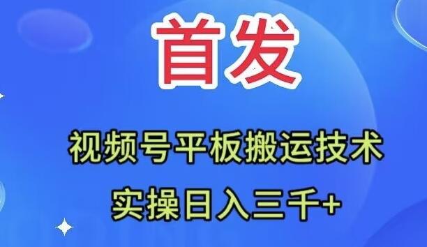 全网首发：视频号平板搬运技术，实操日入三千＋-翻身站