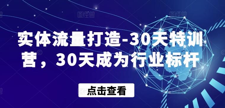 实体流量打造-30天特训营，30天成为行业标杆-翻身站