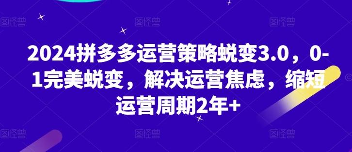 2024拼多多运营策略蜕变3.0，0-1完美蜕变，解决运营焦虑，缩短运营周期2年+-翻身站