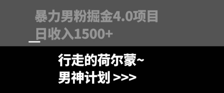 暴力男粉掘金4.0项目不违规不封号无脑复制单人操作日入1000+-翻身站