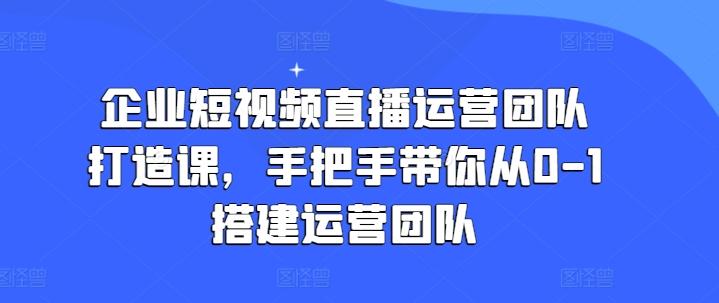 企业短视频直播运营团队打造课，手把手带你从0-1搭建运营团队-翻身站