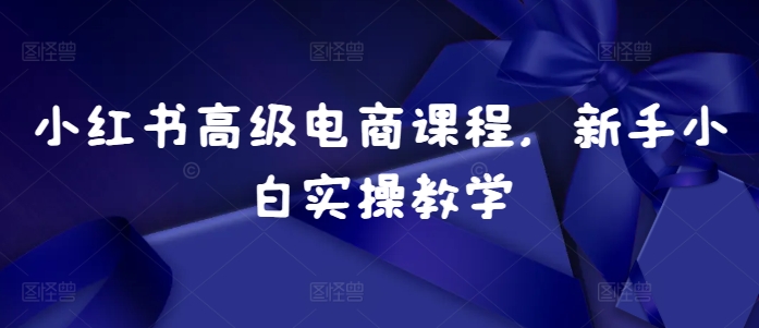 小红书高级电商课程，新手小白实操教学-翻身站