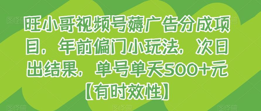旺小哥视频号薅广告分成项目，年前偏门小玩法，次日出结果，单号单天500+元【有时效性】-翻身站