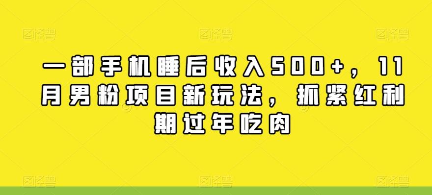 一部手机睡后收入500+，11月男粉项目新玩法，抓紧红利期过年吃肉-翻身站