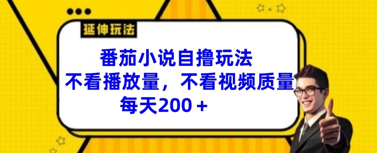 番茄小说自撸玩法，不看播放量，不看视频质量，每天200+【揭秘】-翻身站