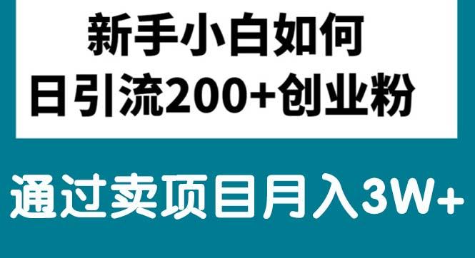 新手小白日引流200+创业粉,通过卖项目月入3W+-翻身站