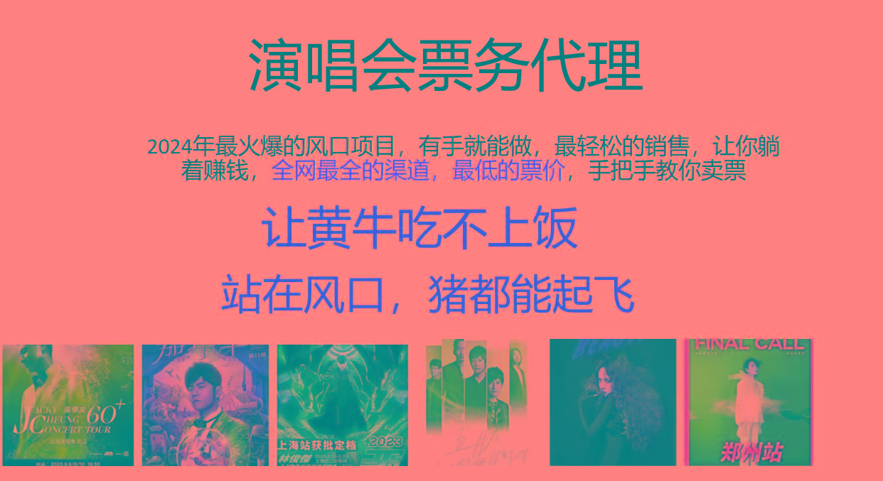 2024年最火爆风口项目，演唱会票务代理，日入2000+，一部手机就能搞定！-翻身站